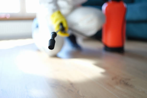 Best Mold Removal for HVAC Installations  in Mount Hope, NJ