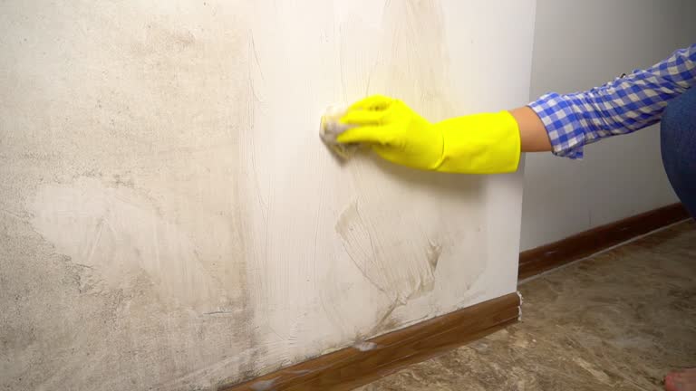 Best Mold-Related Health Consultation  in Mount Hope, NJ