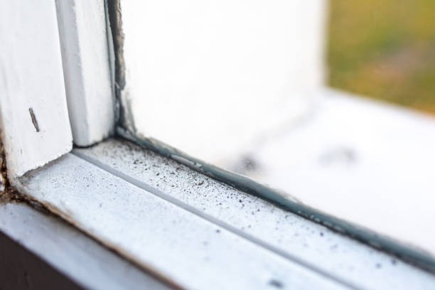 Best Emergency Mold Remediation  in Mount Hope, NJ