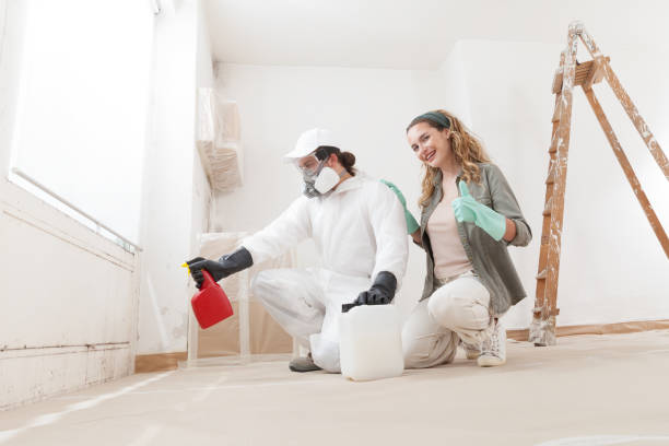 Best Basement Mold Removal  in Mount Hope, NJ