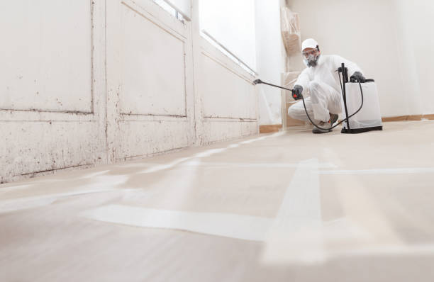 Best Mold Odor Removal Services  in Mount Hope, NJ