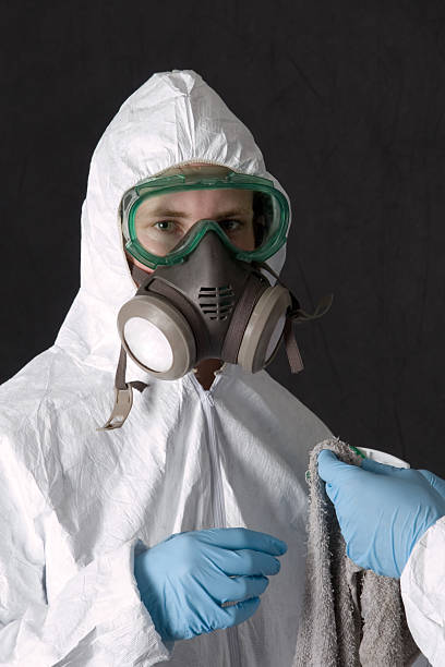 Best Crawl Space Mold Remediation  in Mount Hope, NJ